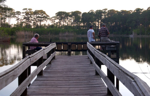 Audubon-Bird-Sanctuary
