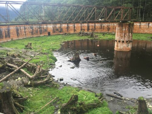 fortress of the bear