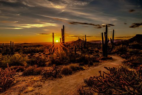 scottsdale-about scottsdale-about