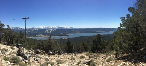 Cougar-Crest-Trail