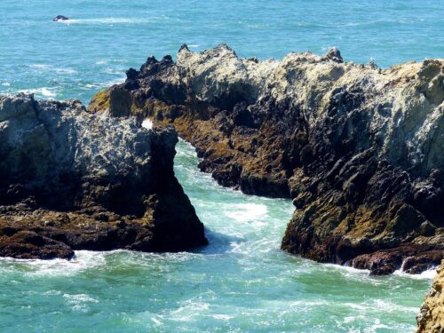 sonoma-coast-state-beach