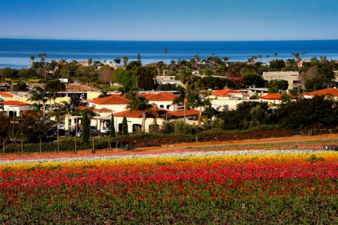 carlsbad-about
