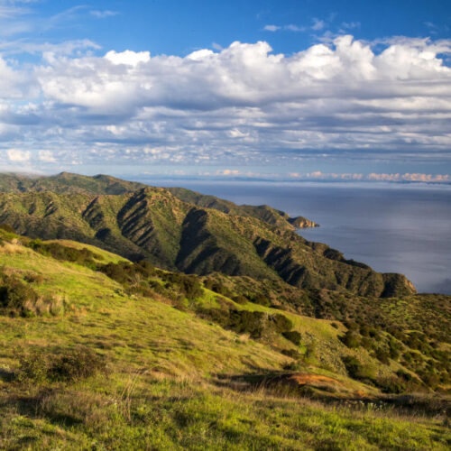 catalina 3
