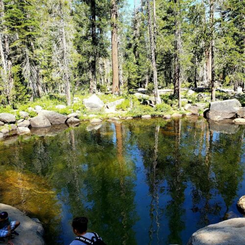 the-swimming-hole