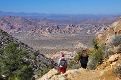 Joshua-Tree-Ryan-Mountain-088hsrs