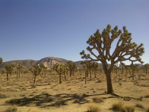 RyanMtn 1