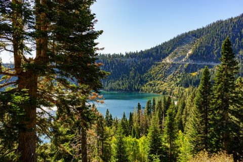 ben-carless-YuJokOHODF0-unsplash ben-carless-YuJokOHODF0-unsplash