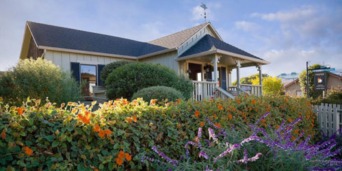 PierceRanchVineyards