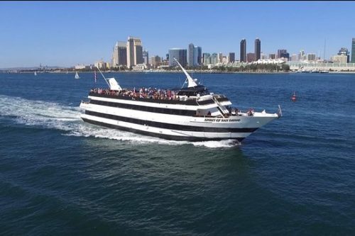 bay harbor cruises