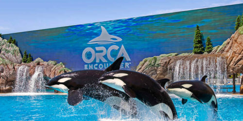 sea world