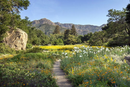 Van-Atta-Associates-Santa-Barbara-Botanic-Garden-05