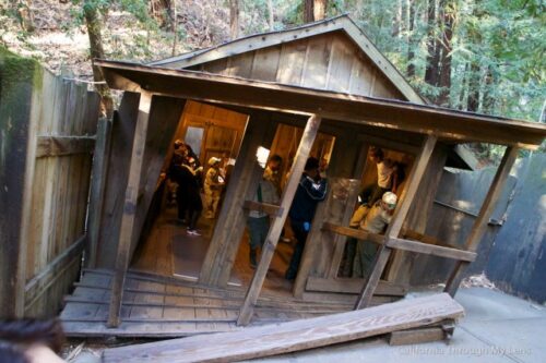 Mystery-Spot-Santa-Cruz-3-640×426-1