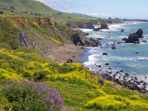 Sonoma_Coast_State_Park