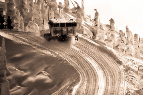 cat_skiing