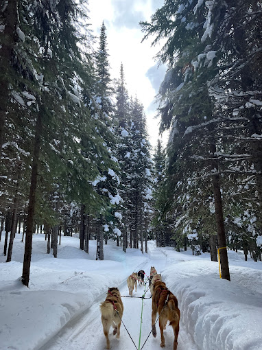 Mountain Man adventour tours