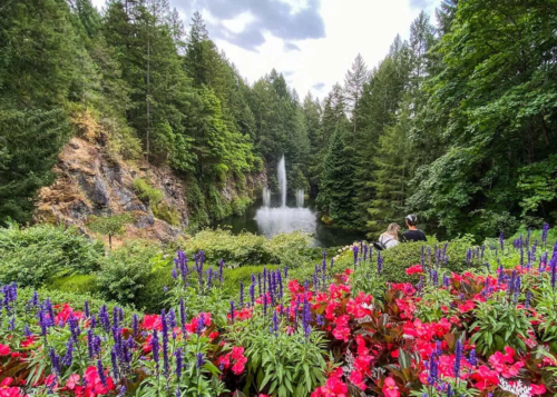 butchart-gardens