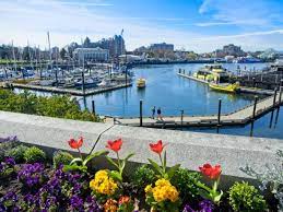 inner habour 1