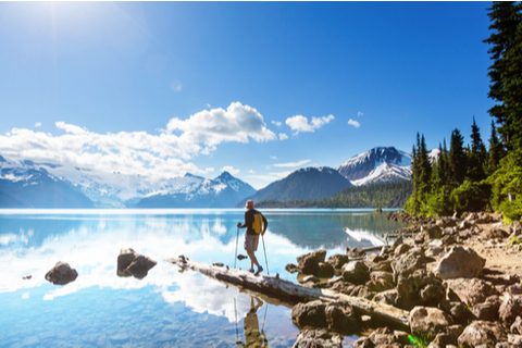 whistler-about
