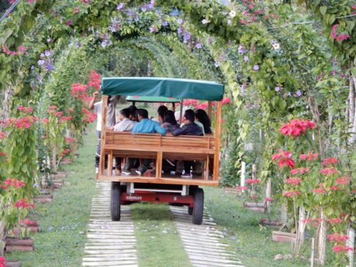 belize spice farm botanic garden