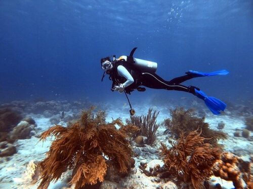 bonaire national marine park