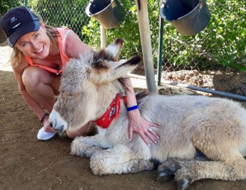 donkey-sanctuary-bonaire