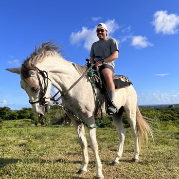 nicks equine tour