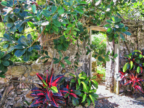 st-george-village-botanical-garden-st-croix
