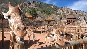 zoo