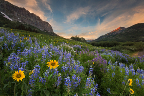 crested-butte-about