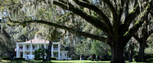 Eden Gardens State Park