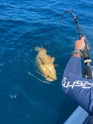 Paradise Fishing Charters