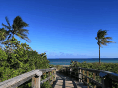 Hollywood Beach Broadwalk