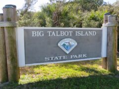 talbot 1
