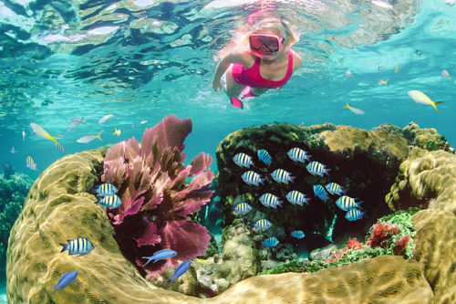 sundiver tours
