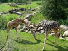 place_image-image-b5c2340a-4720-43a5-87a1-c08941845ad7