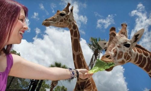 naples zoo