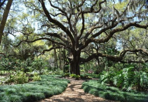 wshington oaks gardens sp
