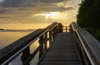 Pineland Monument Park