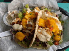 Salty Girls Island Café