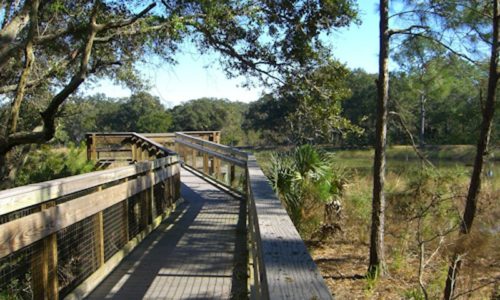 guana tolomato matanzas