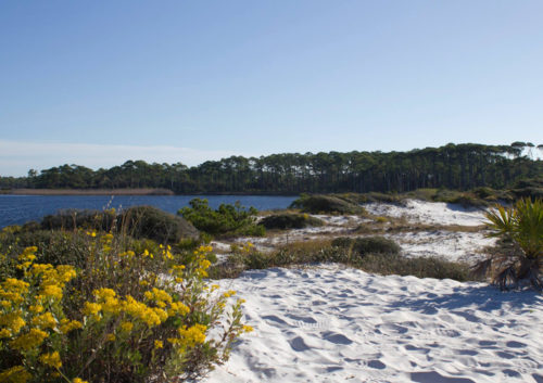 grayton beach state park