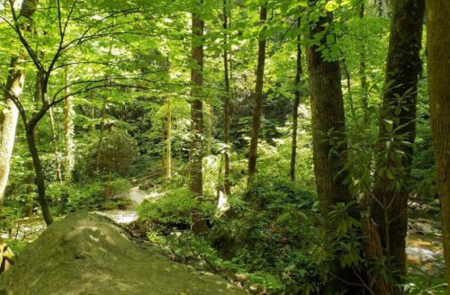 uniqoi state park