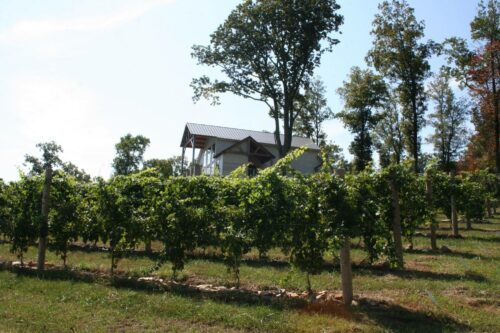 11015911_10101166785115271_7332871805332596725_o