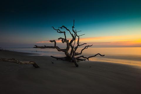about-jekyll-island