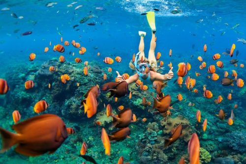 coral reef snorkel adventures