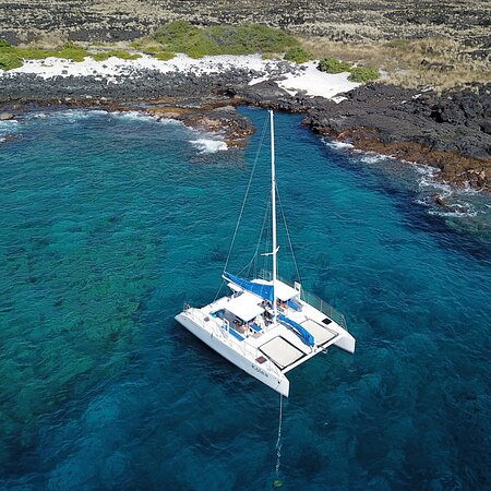 paradise sailing