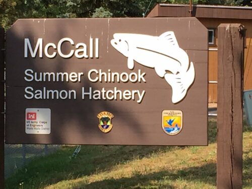 mcCall-fish-hatchery