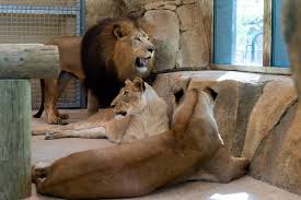 Potawatomi Zoo
