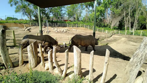 Blank Park Zoo