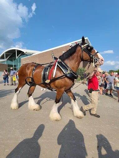 Iowa State Fairgrounds